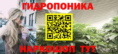дживик Славгород