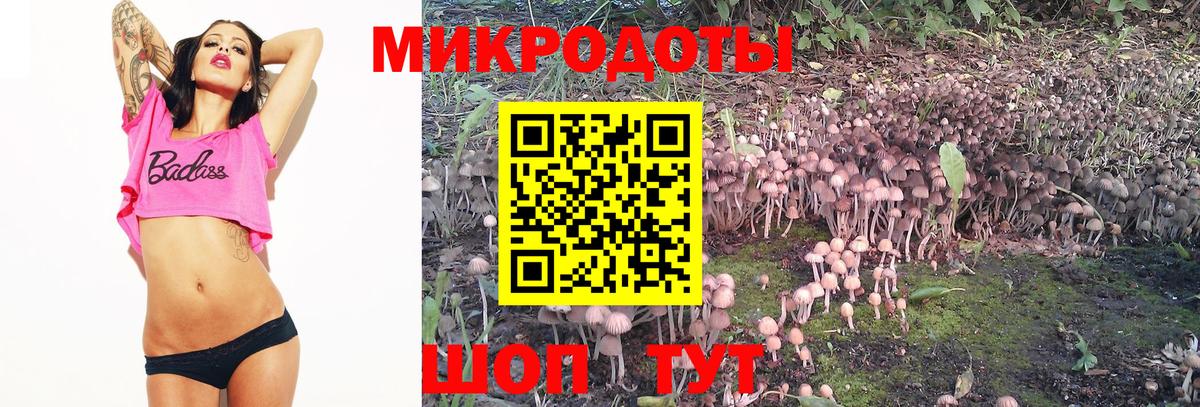 Галлюциногенные грибы GOLDEN TEACHER Ростов-на-Дону